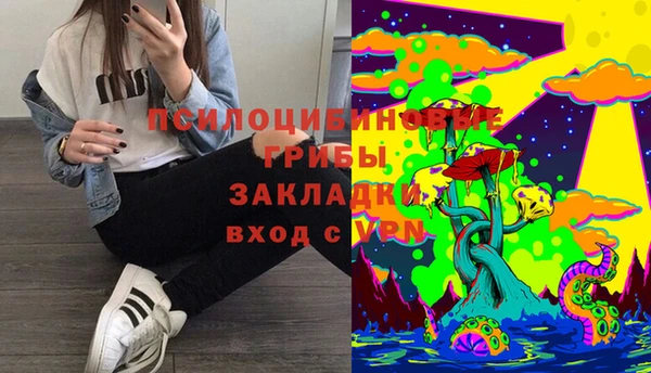 сатива Алексин