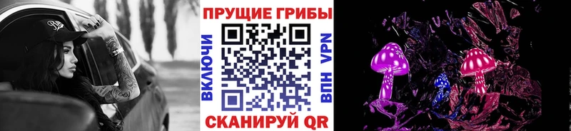 darknet какой сайт  Чкаловск  Псилоцибиновые грибы MAGIC MUSHROOMS 